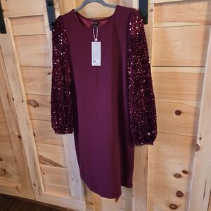 Elegant Burgundy Sequin Sleeve Dress